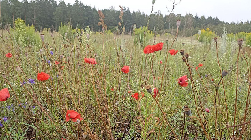 Фото УВД Витебского облисполкома