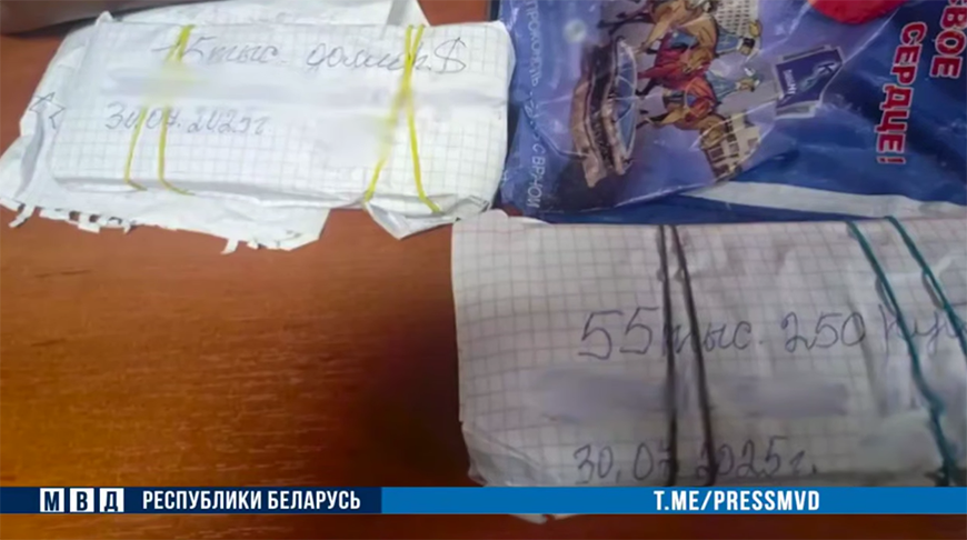 Скриншот видео МВД