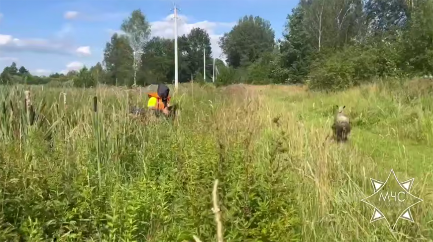 Скриншот видео МЧС