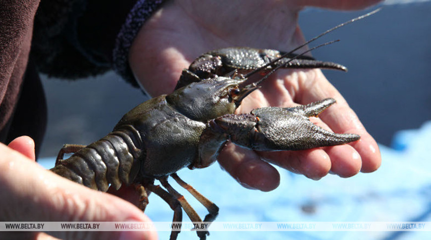 Фото из архива