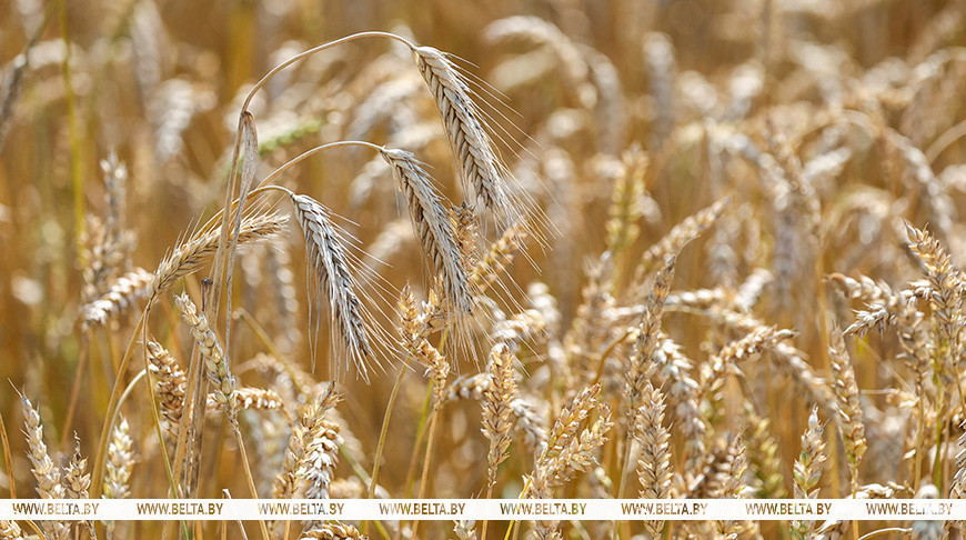 Фото из архива