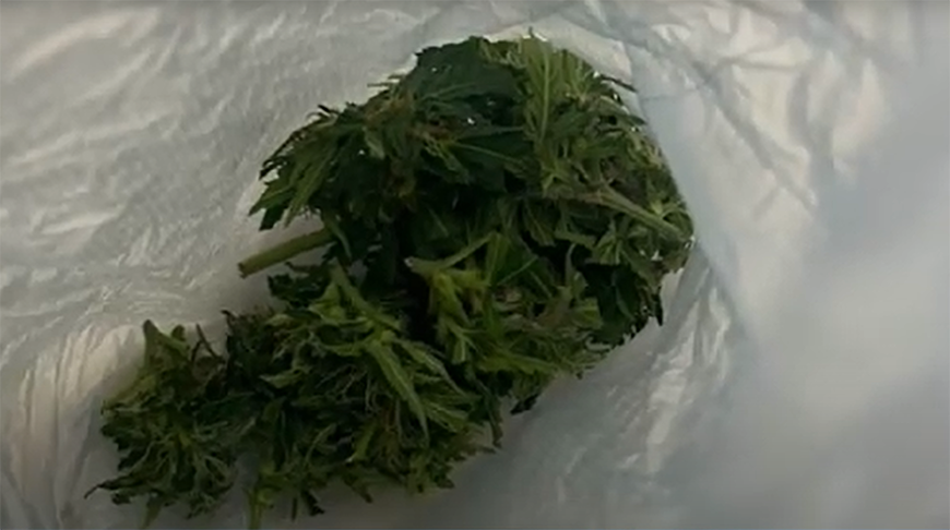 Скриншот видео ГУВД Мингорисполкома