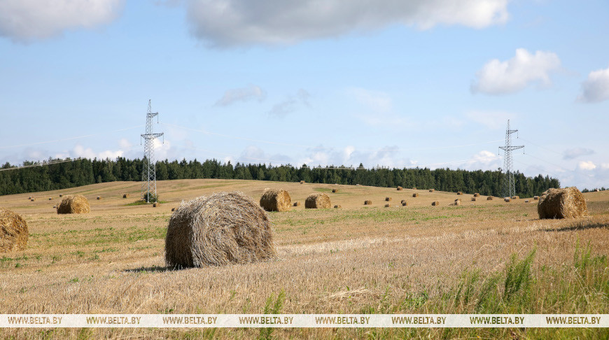 Фото из архива