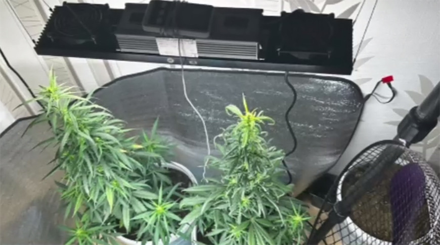 Скриншот видео УВД Витебского облисполкома