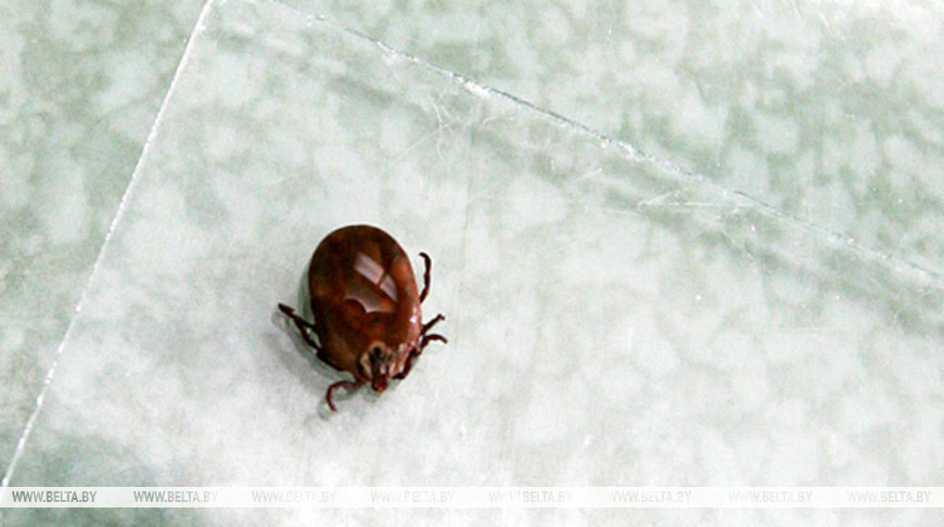 Фото из архива