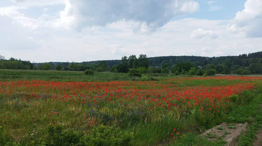 Фото УВД Гродненского облисполкома