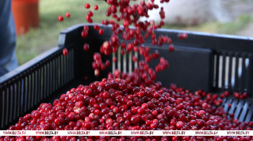 Фото из архива