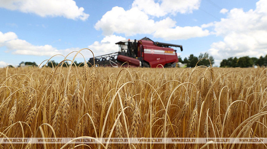 Фото из архива