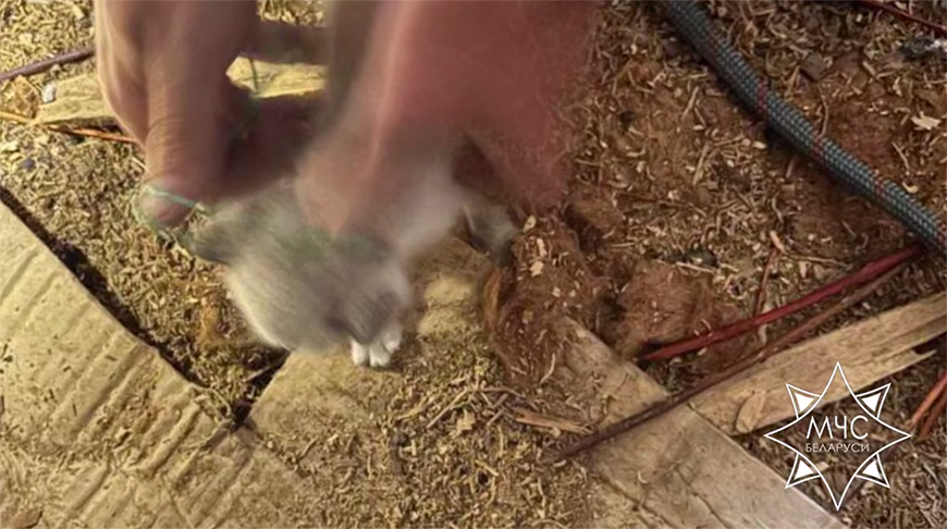 Скриншот видео МЧС