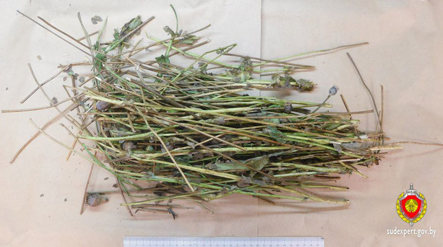 Фото Государственного комитета судебных экспертиз