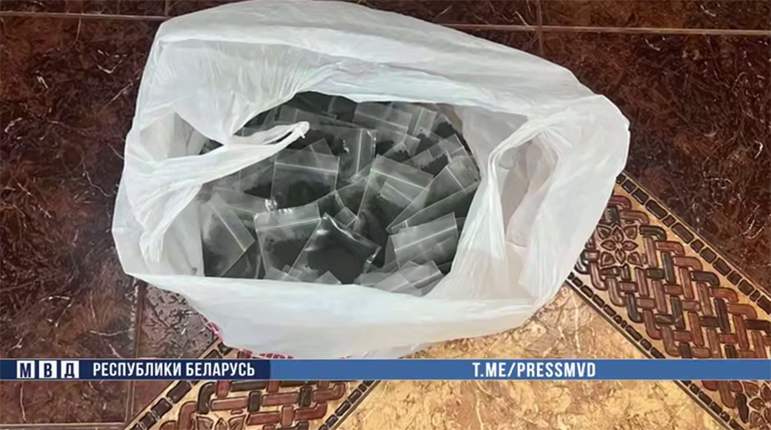 Скриншот видео МВД