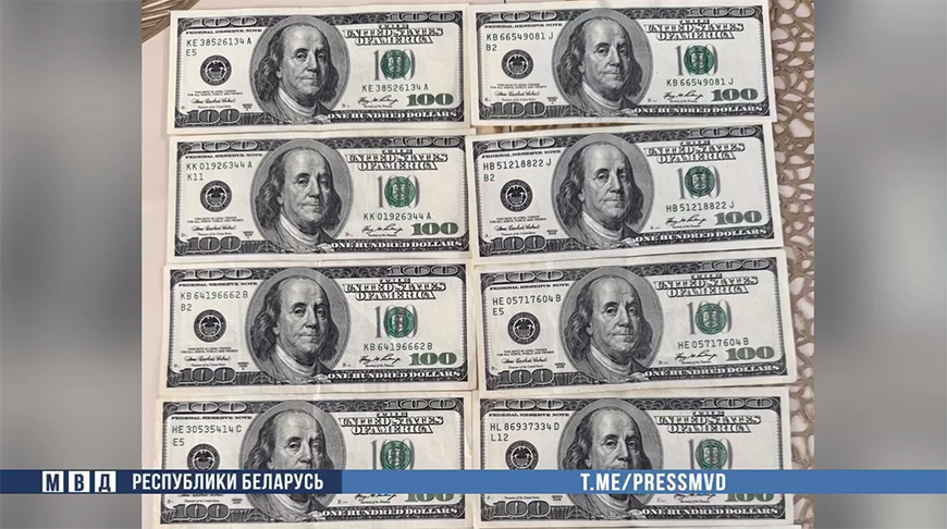 Скриншот видео МВД