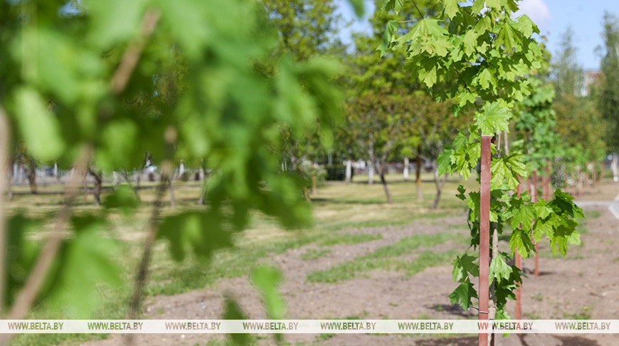 Фото из архива