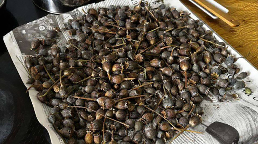 Фото УВД Брестского облисполкома