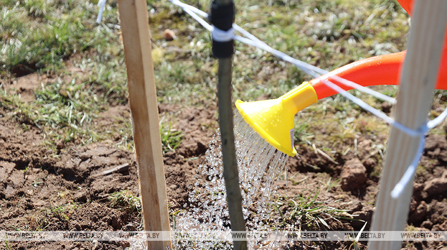 Фото из архива