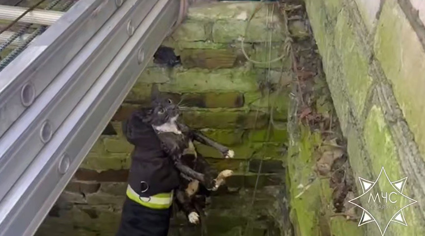 Скриншот видео МЧС