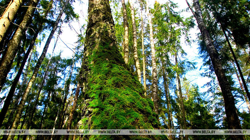 Фото из архива