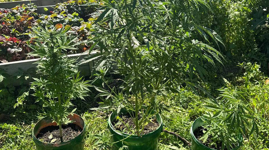 Фото ГУВД Мингорисполкома