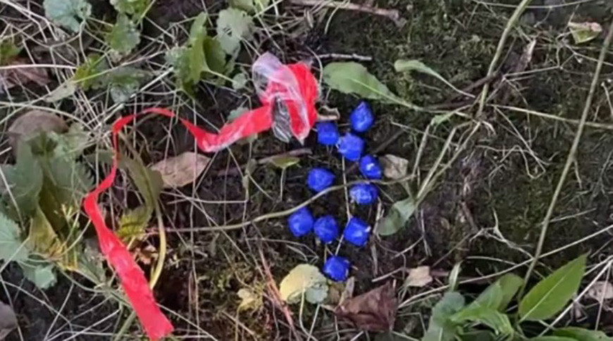 Скриншот видео МВД