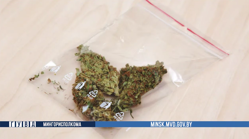 Скриншот видео МВД