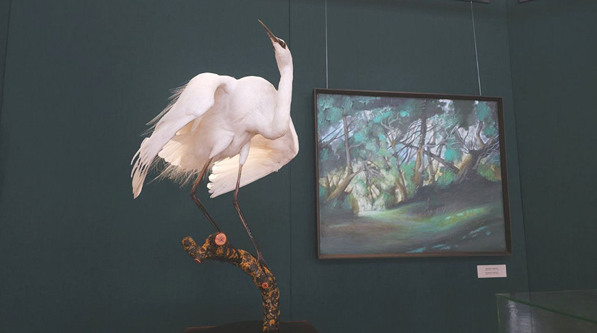 Фото Гродненского историко-археологического музея