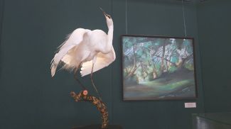 Фото Гродненского историко-археологического музея