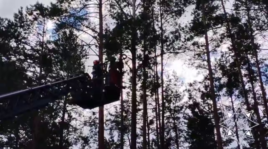 Скриншот видео МЧС