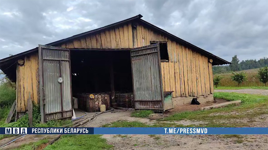 Скриншот видео МВД