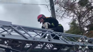 Скриншот видео МЧС