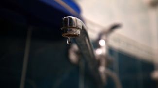 Фото из архива