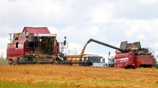 Фото из архива