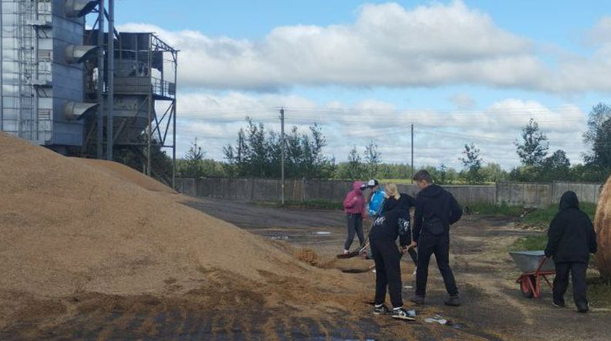 Фото прокуратуры Дрибинского района