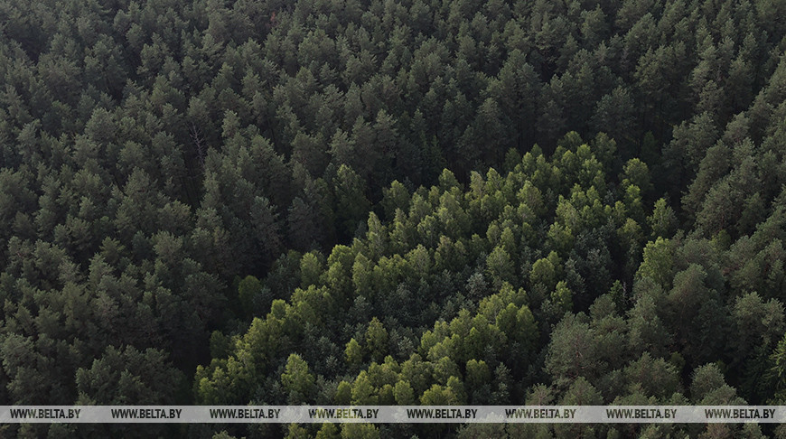 Фото из архива