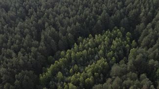 Фото из архива