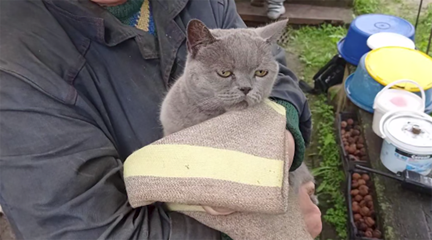 Скриншот видео МЧС