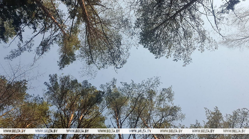 Фото из архива