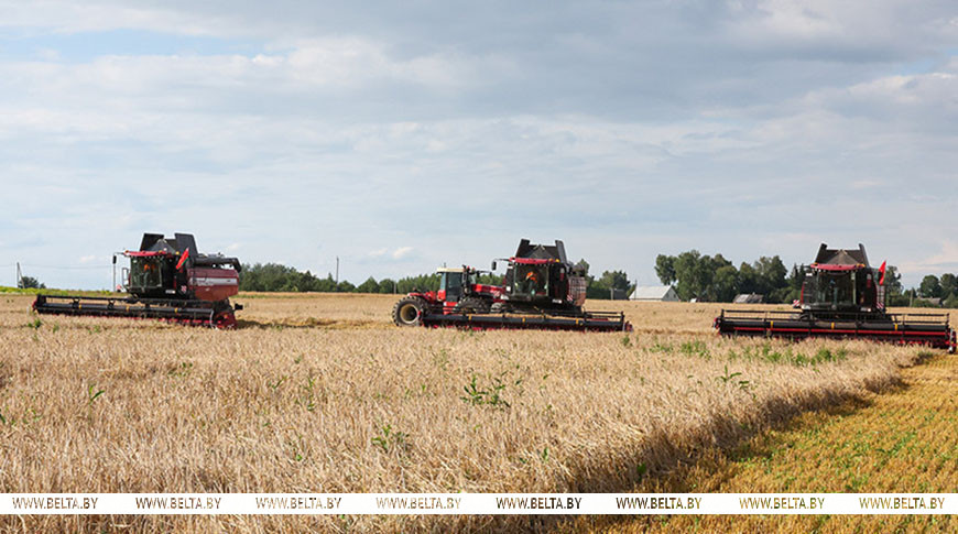 Фото из архива