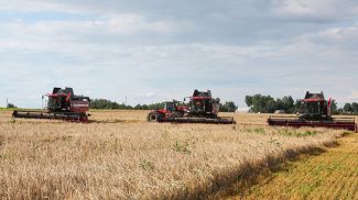 Фото из архива