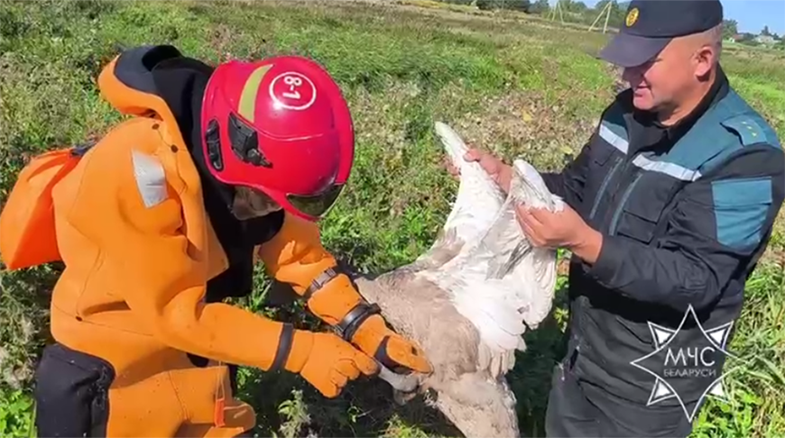 Скриншот видео МЧС