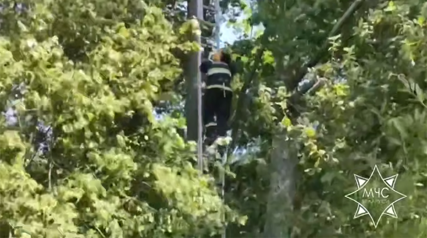 Скриншот видео МЧС