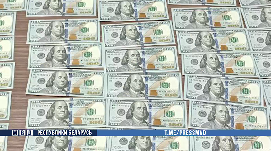 Скриншот видео МВД