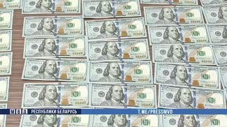 Скриншот видео МВД