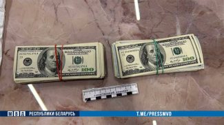 Скриншот видео МВД