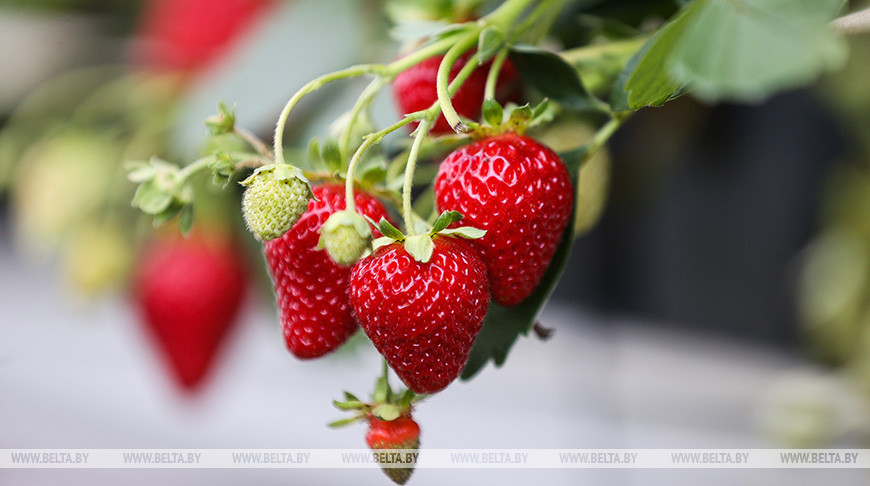 Фото из архива