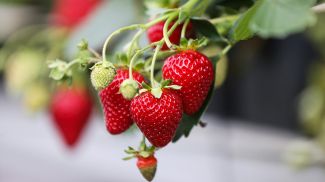 Фото из архива