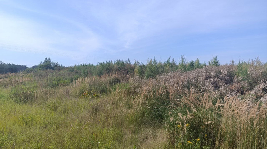 Фото УВД Брестского облисполкома