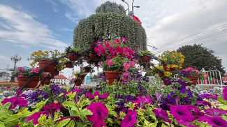 Фото grodnoplustv.by