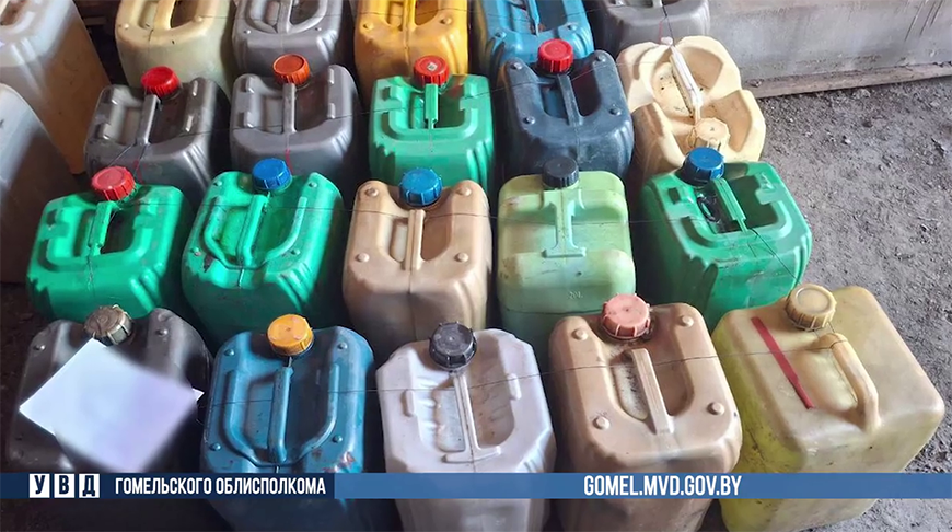 Скриншот видео УВД Гомельского облисполкома