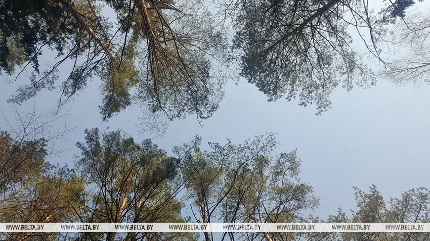 Фото из архива