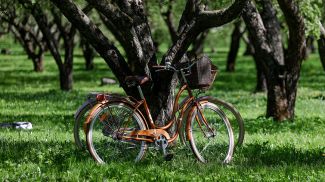 Фото из архива